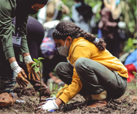 Women Planting Trees